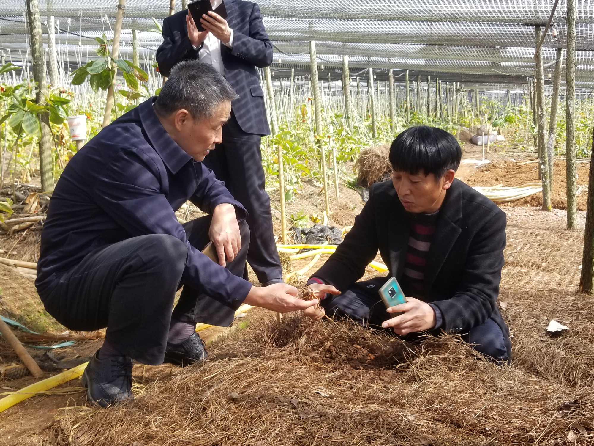 B928BEA29D534635E13467CCF43_5DC2C168_29953D.jpg?e= 壹定发·(EDF)最新官方网站
